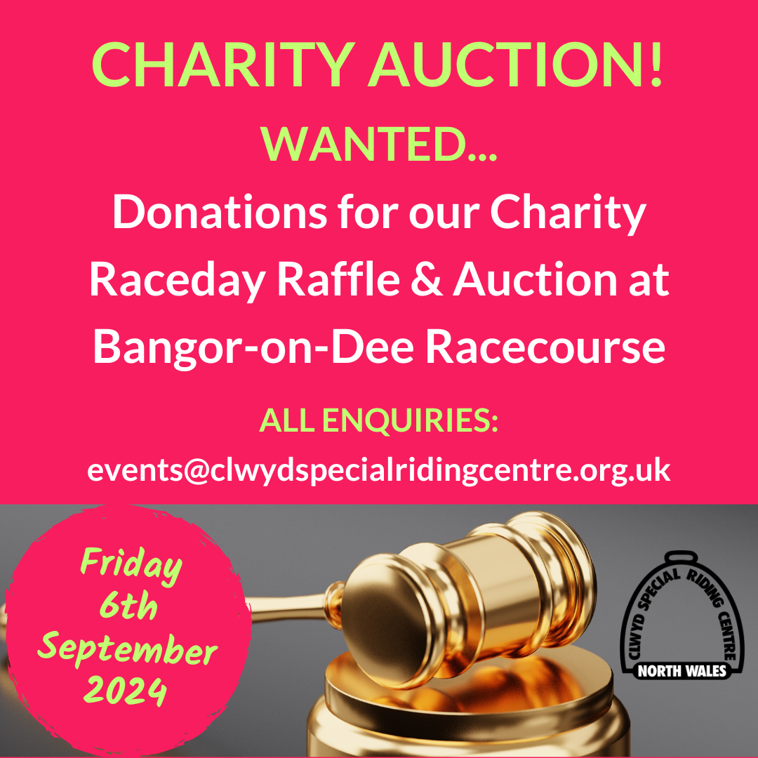 The gavel is raised ready for our Charity Auction at the Bangor-on-Dee Charity Race Day!